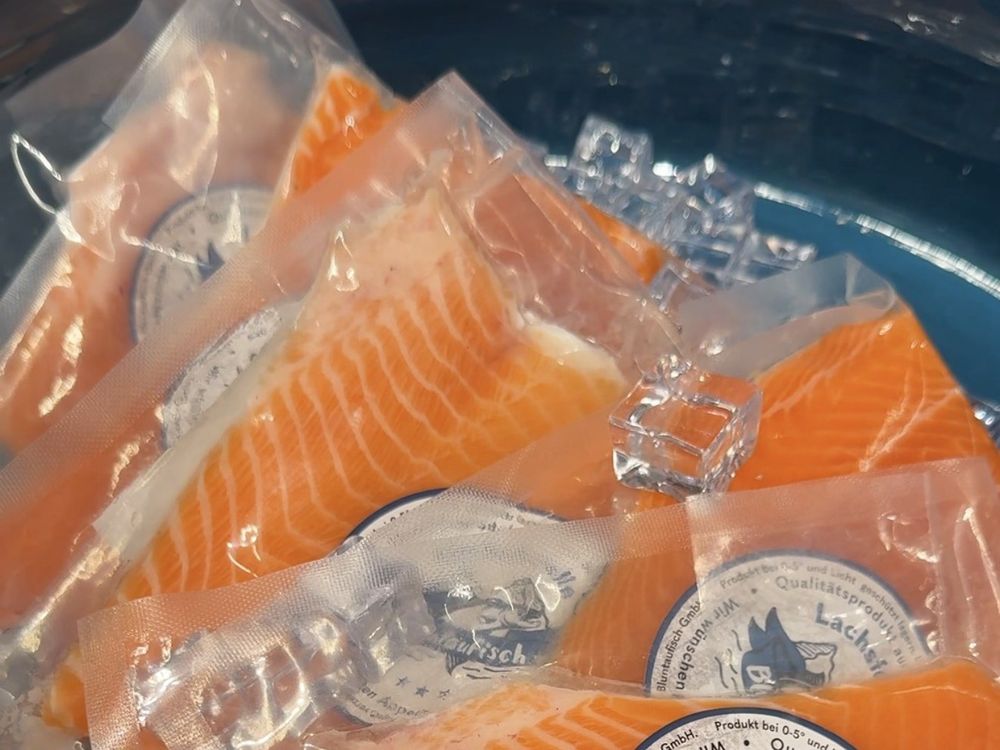 Lachsforellen-Filets von Bluntaufisch, vakuumiert auf Eis